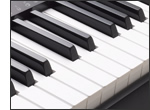 Bàn phím kiểu piano và Phản hồi cảm ứng Bàn phím kiểu piano và Phản hồi cảm ứng