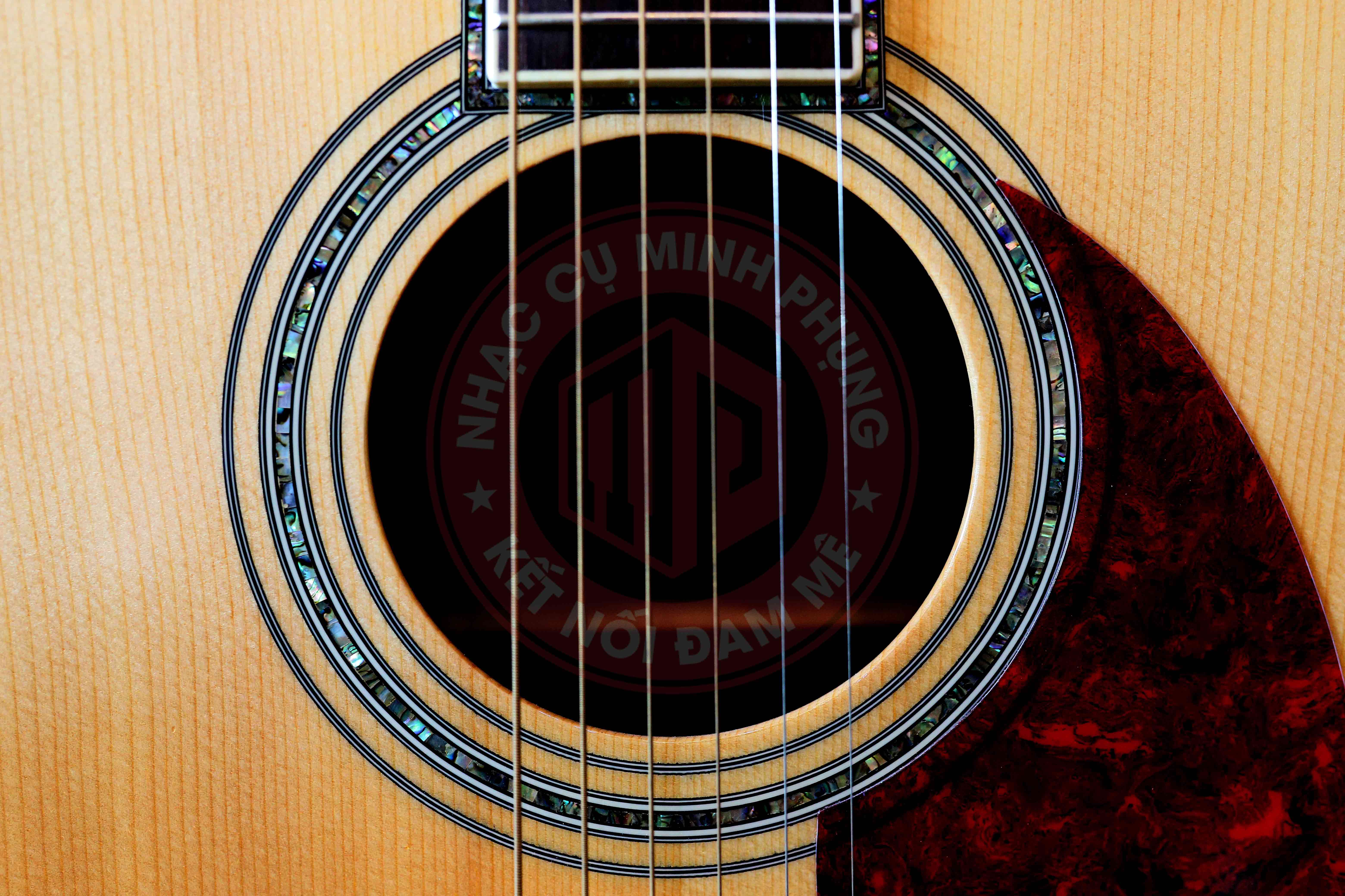 Đàn Guitar Acoustic Tokai CE80T
