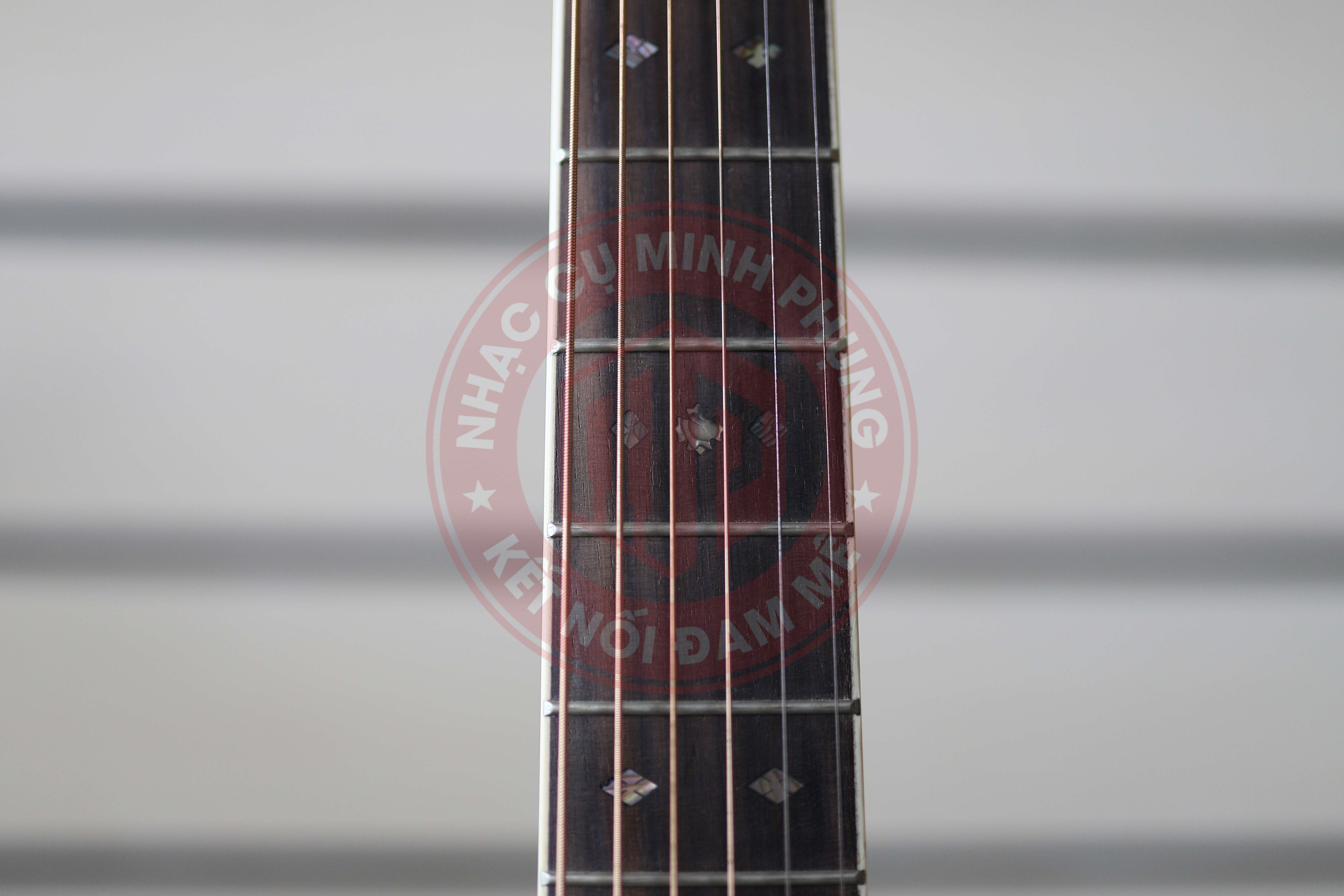 Đàn Guitar Acoustic Tokai CE80