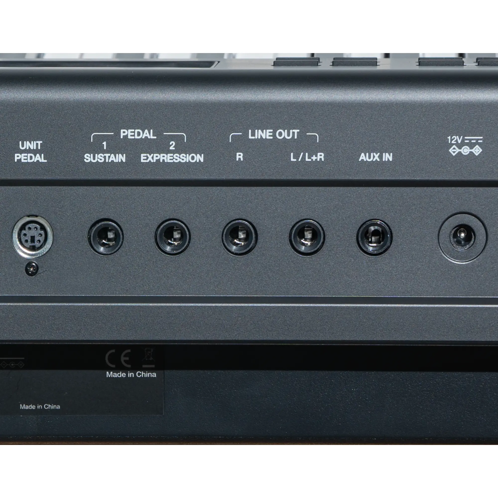 Về cổng giao tiếp dữ liệu, đàn trang bị đầy đủ chuẩn USB và MIDI