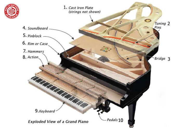 Từ A-Z thông tin về đàn Grand Piano, không phải ai cũng biết - Hình 1