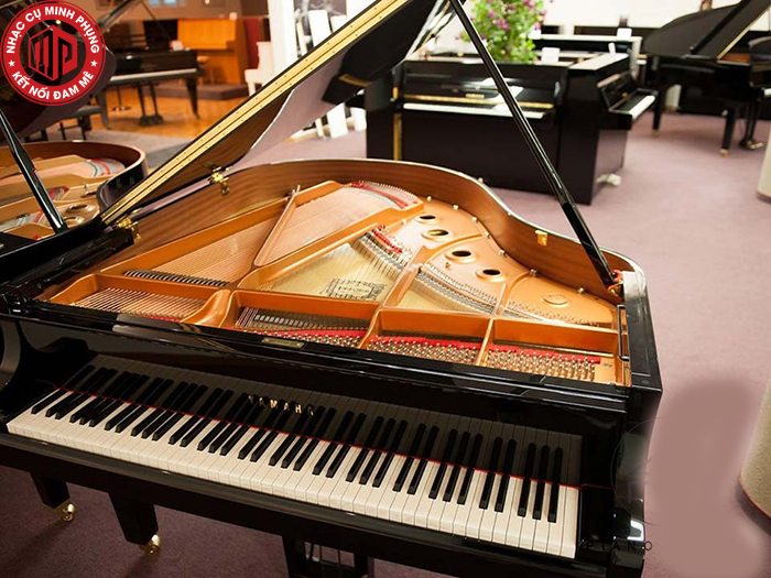 Lý do nên chọn đàn grand piano yamaha mới