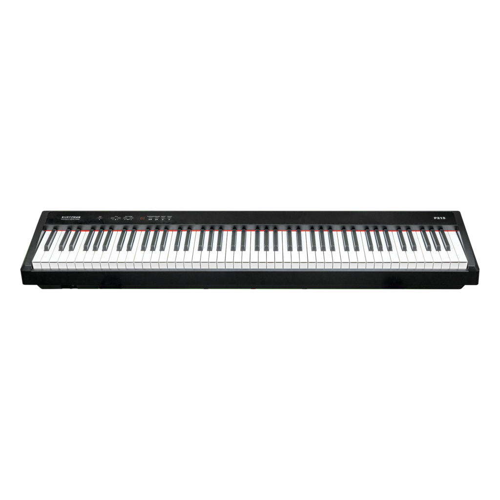 P215 trang bị 162 POLYPHONY, rất hiếm trong số các sản phẩm có mức giá tương tự, nhưng KURTZMAN P215