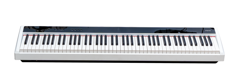 Kurtzman P215 nằm ở phân khúc đàn phím nặng dưới 10 triệu đồng