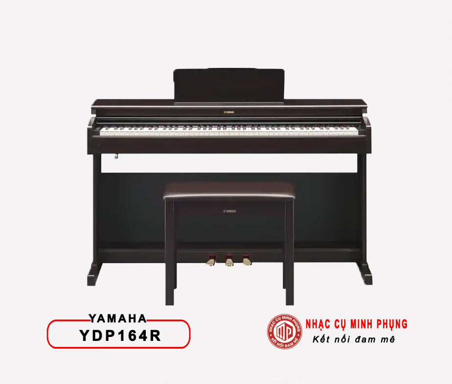 dan piano dien Yamaha 