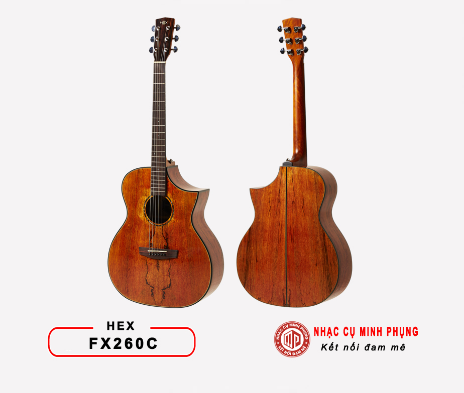 Đàn Guitar Acoustic Hex FX260C