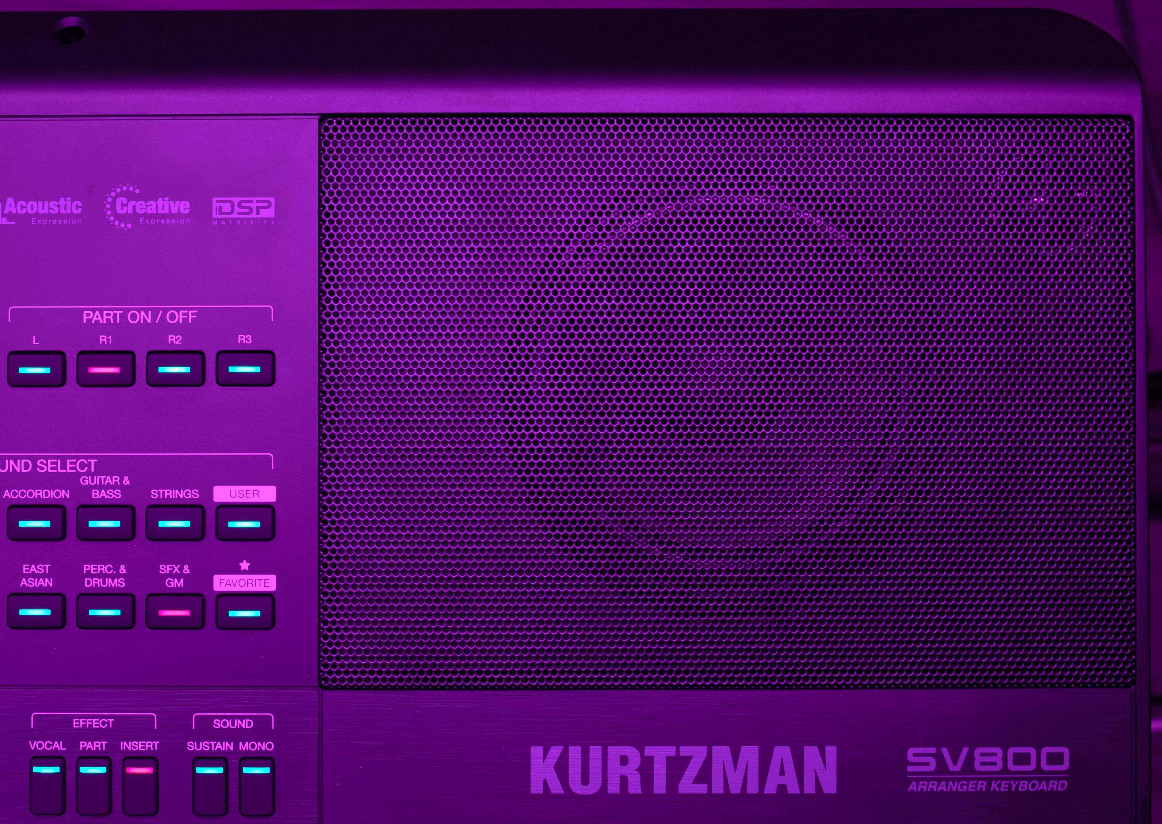 Đàn Organ Kurtzman SV800