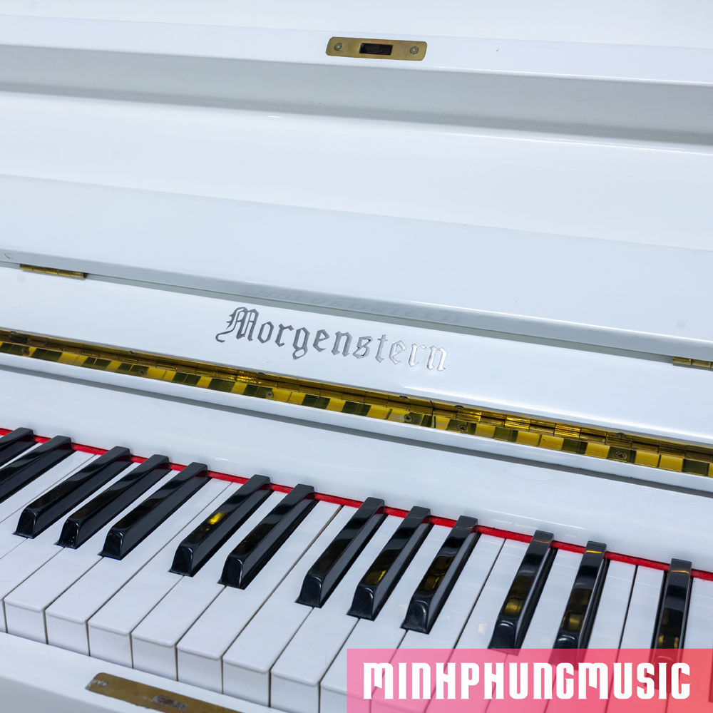 ĐÀN PIANO CƠ MORGENSTERN MU1