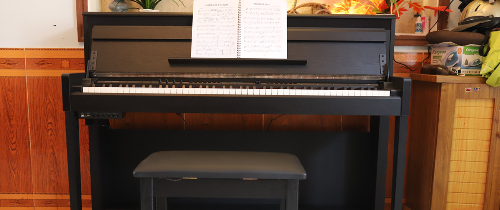 PIANO_DIEN
