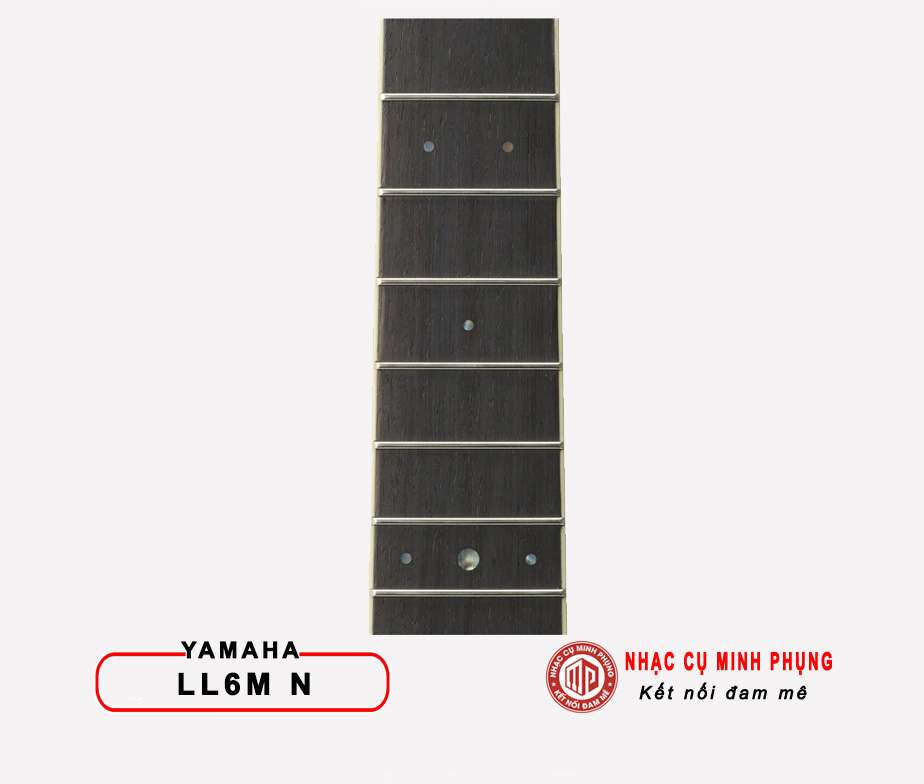 Đàn Guitar Acoustic Yamaha LL6M