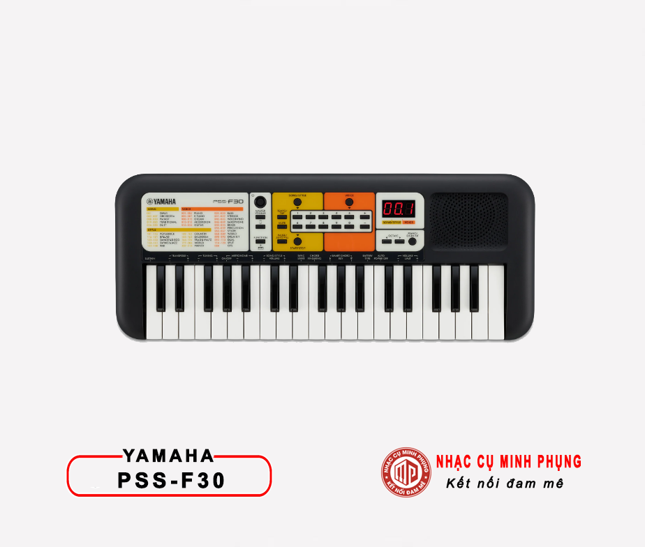 Đàn Organ Yamaha F30
