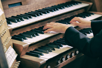 organ_cho_be