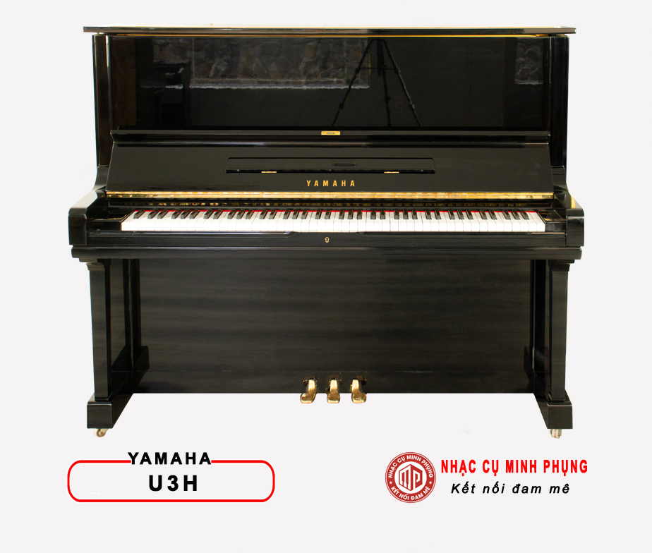 Đàn Piano Điện Yamaha CVP 709B