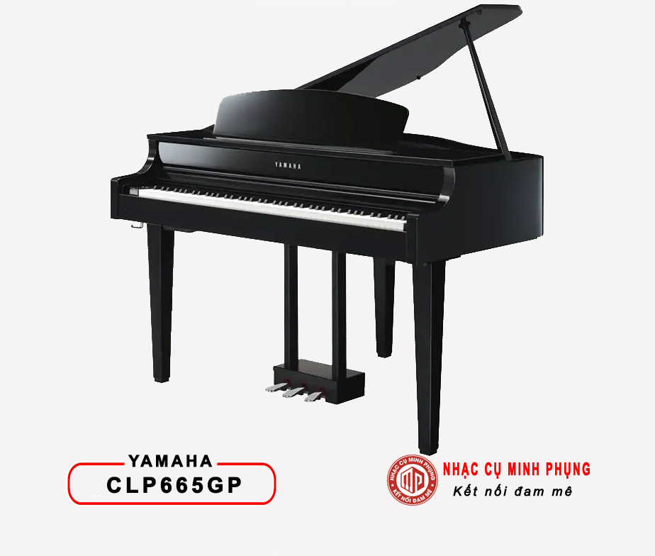 Đàn Piano Điện Yamaha CLP 665GP